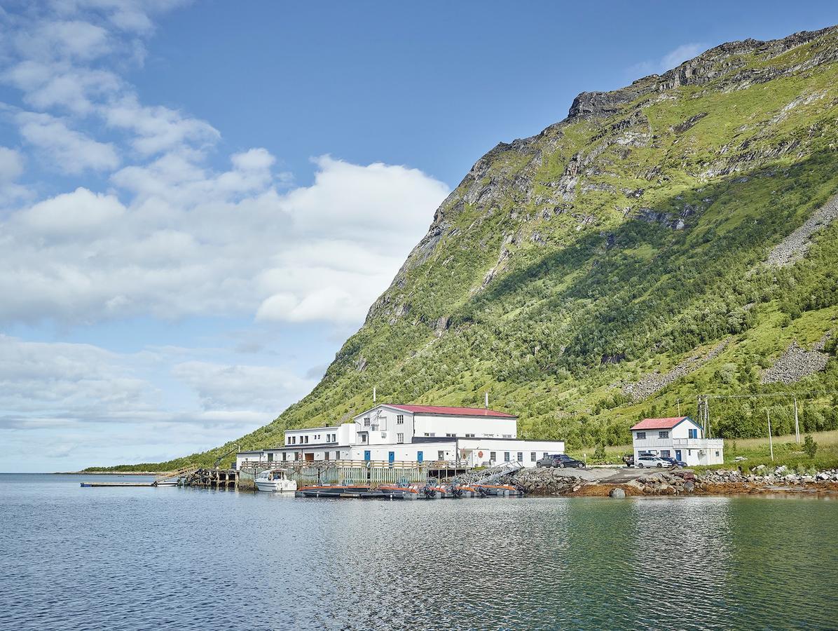 Northern Light Hotell/camp Steinfjord Hotel *