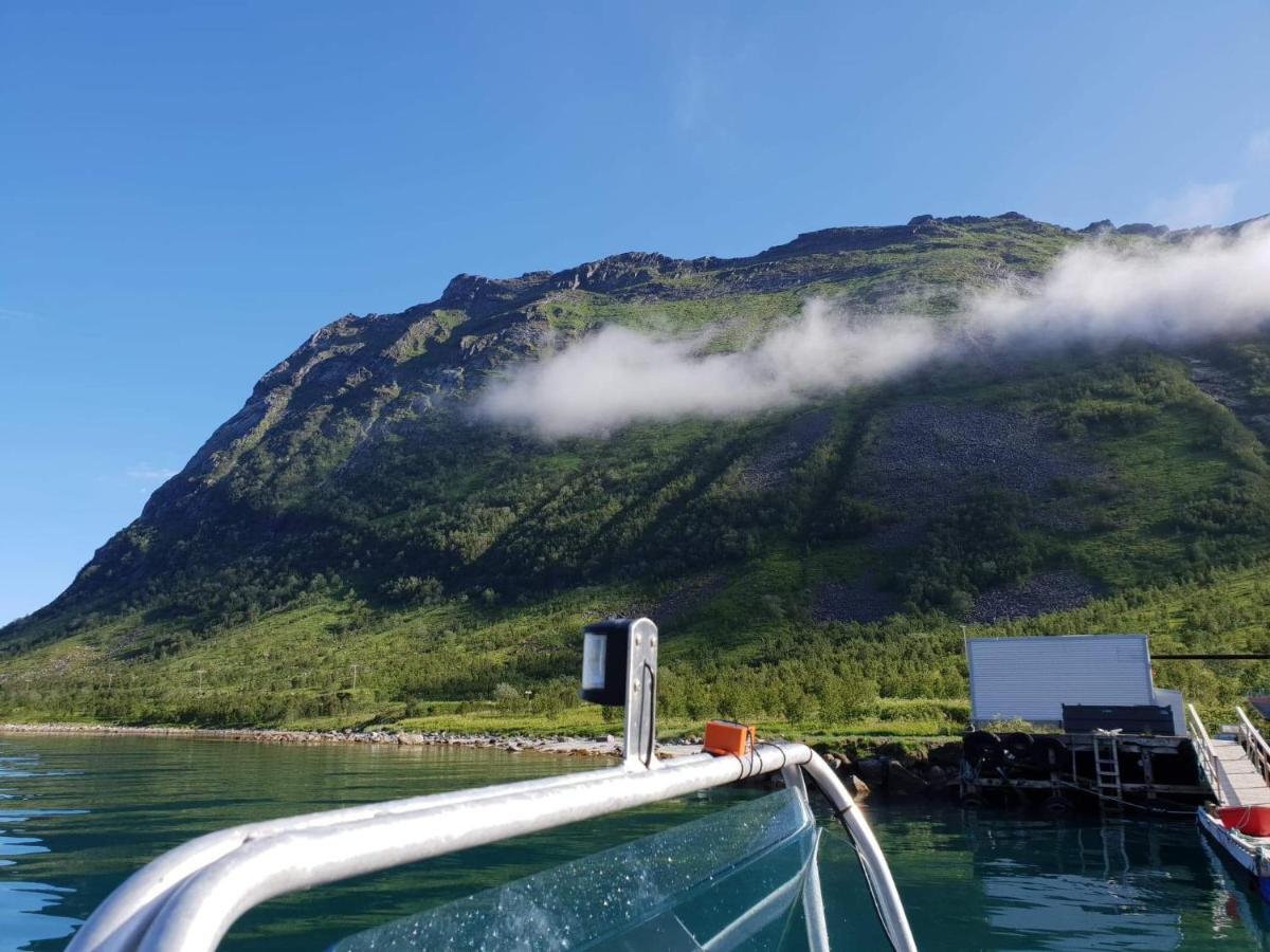 Northern Light Hotell/camp Steinfjord * Berg (Troms)