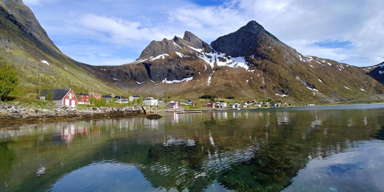 Northern Light Hotell/camp Steinfjord *