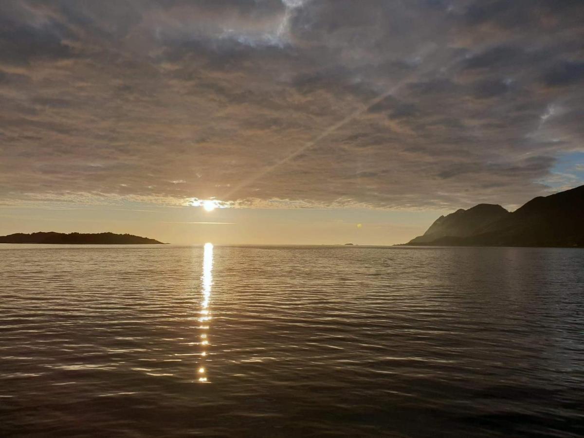 Hotel Northern Light Hotell/camp Steinfjord Berg (Troms)